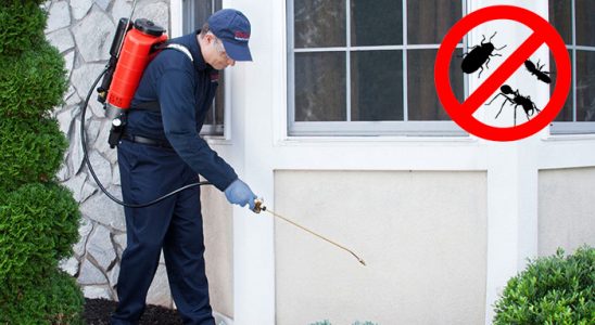 Fındıklı Haşere İlaçlama böcek ilaçlama ve haşere kontrolü — ilaclama-tr.com